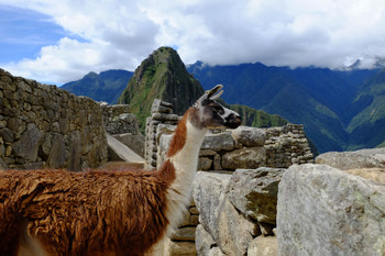 ペルーへの旅12